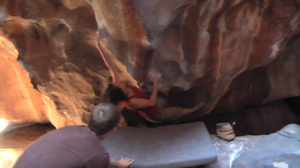 King Cobra, V6