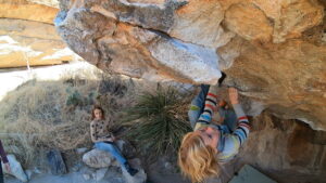 Nobody Here Gets Out Alive V2, Stationary Snake v3, Diaphanous Sea v12